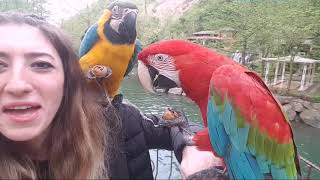 Ensuperhatun Düzcede 3