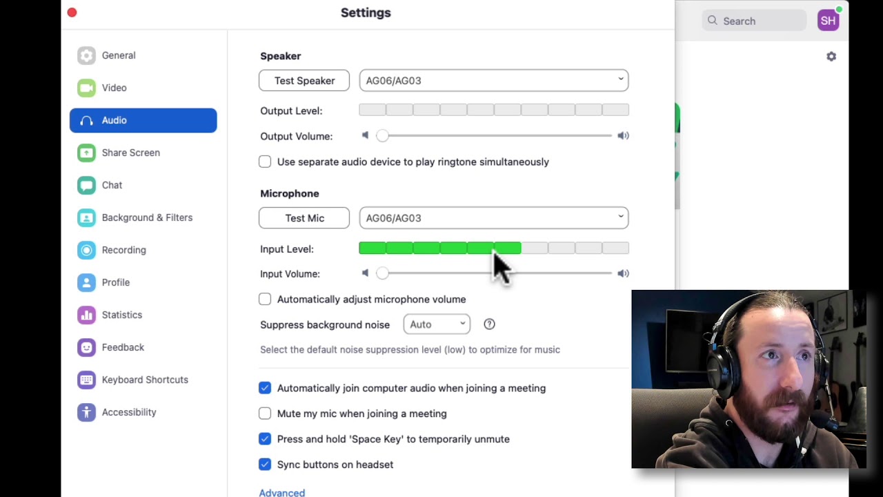 Zoom - Test Mic Input Levels