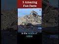 5 amazing fun facts facts in shorts 48 shorts didyouknowfacts getsetflyfacts factology