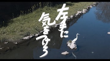 【予告編】映画『左手に気をつけろ』6.8(土)より公開