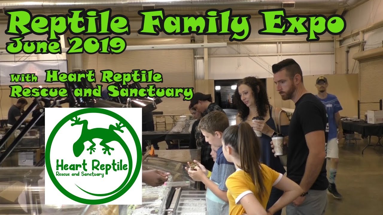 Reptile Family Expo with Heart Reptile Rescue and Sanctuary - YouTube