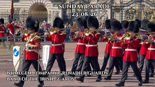 Sunday Parade 23/08/26 | Band of the Irish Guards | Nijmegen Company Grenadier Guards