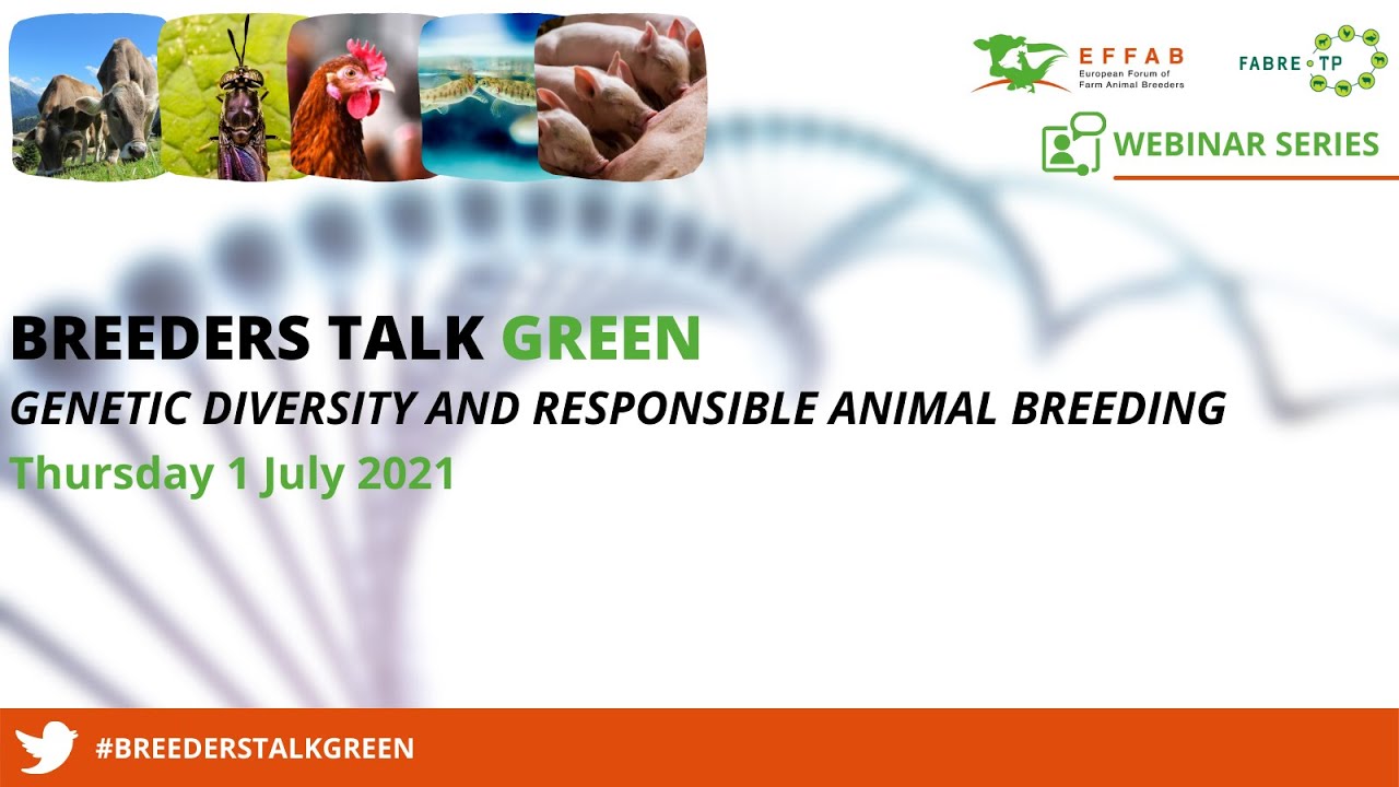 #BreederstalkGreen