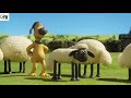 Shaun The Sheep Championssheeps 10 Minute Full Episode