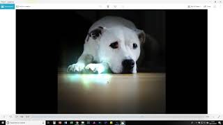 Windows Photo Editor 3D Effects screenshot 5