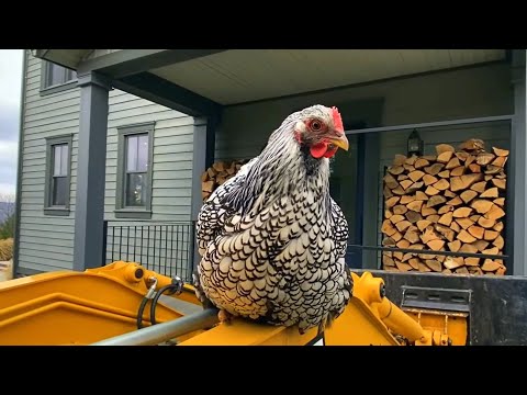 ГРЯЗЕВАЯ КОМНАТА (прихожая) мастеркласс от Сары Ричардсон #1