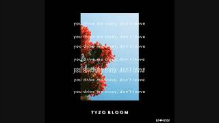 Download Lagu Before U Go - Tyzo Bloom feat. Lauren Marie (Official Audio) MP3