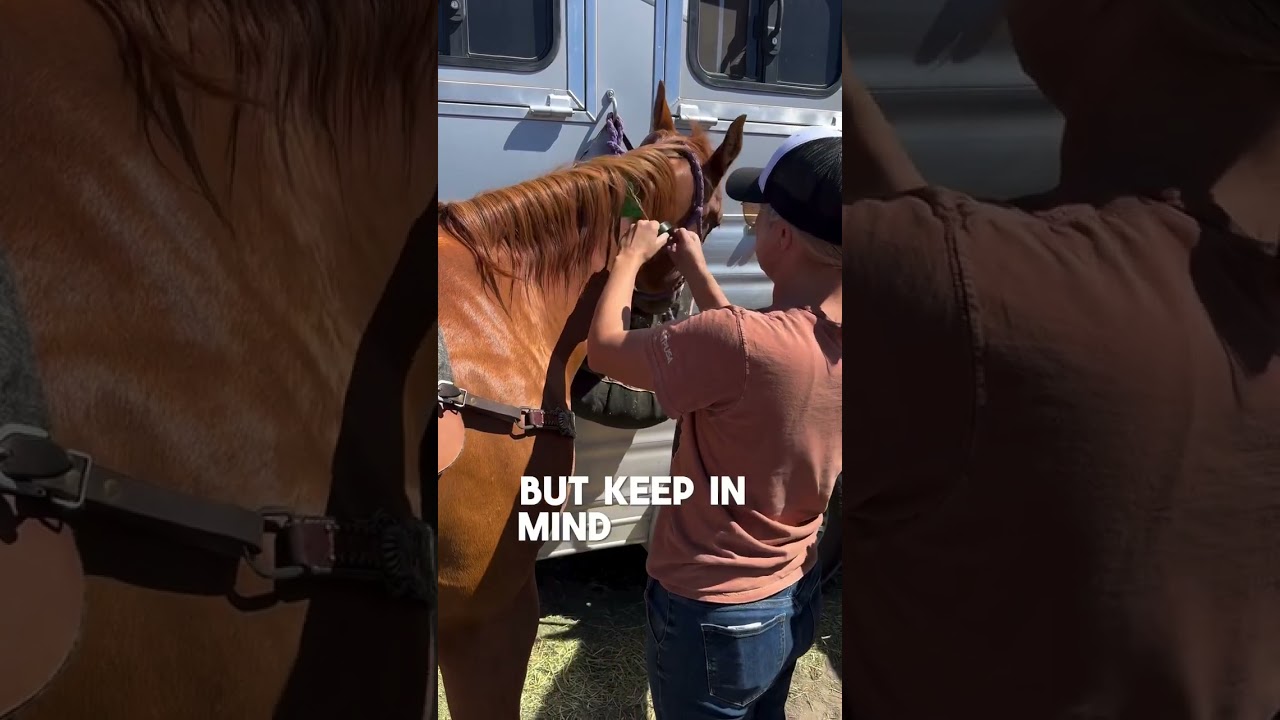 Wildfire Season is Here: How Ritchey Tags Stand Up to the Heat—For ALL Livestock