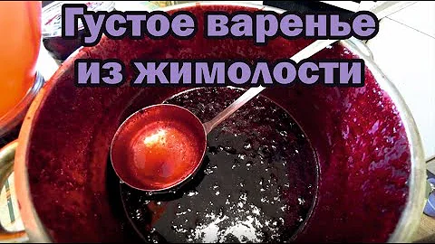 Варенье из горькой жимолости