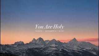 You are holy - Jesus Image | Instrumental Worship | Soaking Music | Deep Prayer