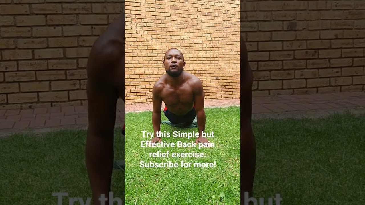 No More Back Pain! Easy Beginner Exercises You Can Do at Home 