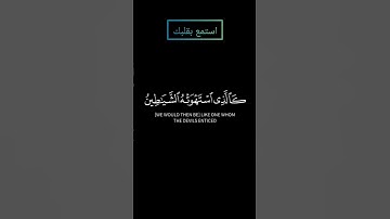 سورة الأنعام قل أندعو من دون الله ما لا ينفعنا ولا يضرنا بصوت القارئ ياسر الدوسري #ياسرالدوسري #قرآن