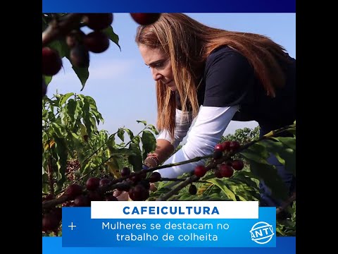 Mulheres se destacam