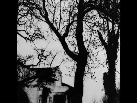 Mouth Violence / Corvid Canine \