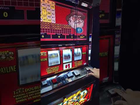 PLEASE ME PANDA 🐼🐼 #casinos #slotmachine #naskilacasino #bonus #gambling #ags