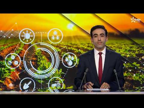 الأخبار الأمازيغية الأولى 04/10/2026