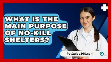 What Is The Main Purpose Of No-kill Shelters? - PetGuide360.com