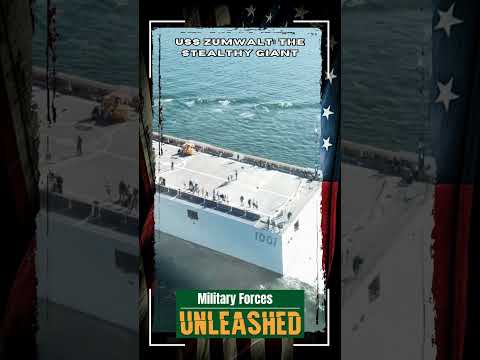 يو إس إس زوموالت العملاق الخفي