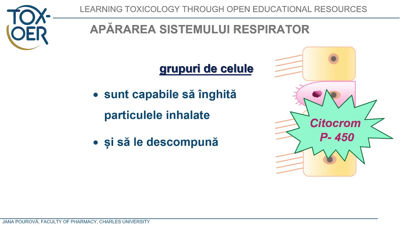 Ro Unit2 cai respiratorii aparare