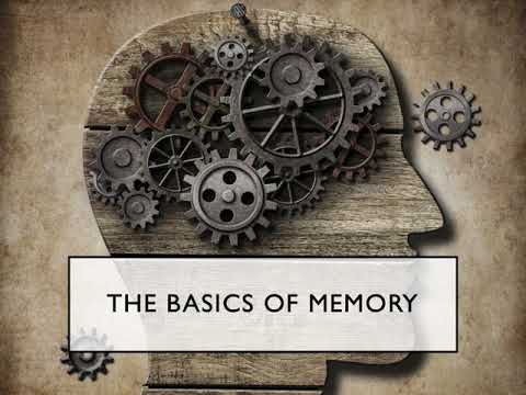The Basics of Memory - YouTube