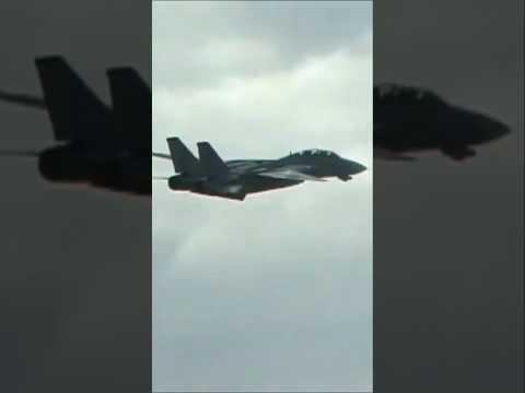 F-14のカッコよさが全て詰まった伝説的マニューバー 可変翼を稼働させながらロールするF-14D TOMCAT