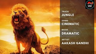 Cinematic No Copyright Wildlife Music Youtube Library  - (Jungle -  Aakash Gandhi)