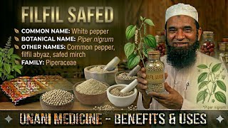 Filfil safed || unani medicine || advia || mufradat || bums || notes in description
