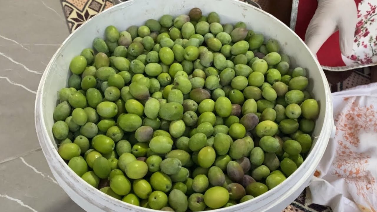 🫒SİPARİŞİNE YETİŞEMEDİĞİM TAŞ KIRMA ZEYTİN YAPIMINA BAŞLADIK☎️SİPARİŞ NO:0531 834 53 35