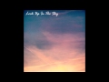 Flowers In My Pocket - Look Up In The Sky