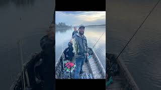 Recent catches #bassfishing #hookset #topwater #strikeking #6sense #outdoors #lakes #viral #fyp