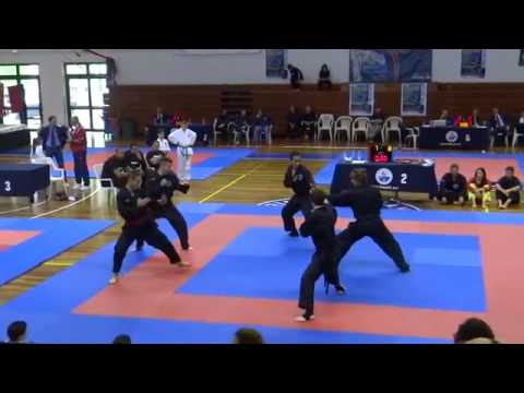VIET VO DAO  2016 San Marino  Dimostrazione Viet   Numero finale - youtube