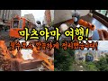 혼자 떠나는 마츠야마 1박2일 여행/ 마츠야마여행 필수코스 깔끔하게 정리하겠습니다 with 트리플/ 일본 소도시여행