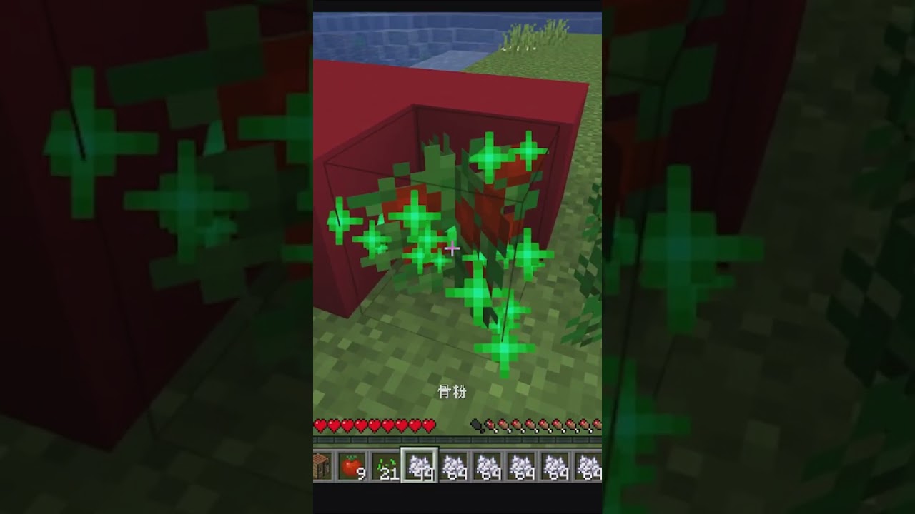 minecraft funny video4 