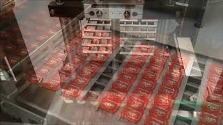 Automated production line D&L portion cups 35ml screenshot 4