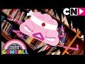 Gumball Türkçe | Dahi | Cartoon Network