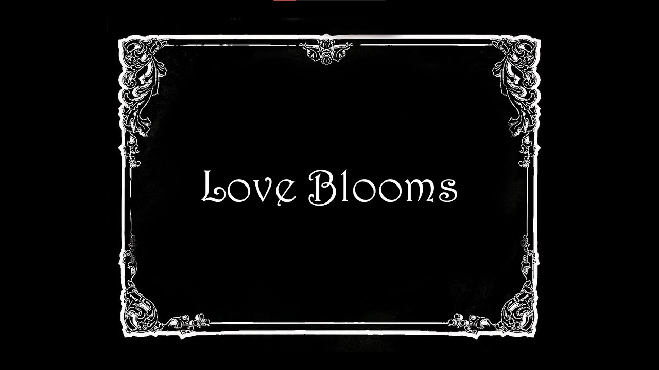 Love Blooms YouTube