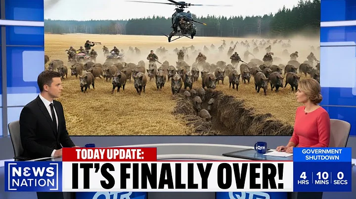 Texas Farmers Found a GENIUS Way to Stop 1000s of Rampaging Wild Boars And It's Mindblowing!