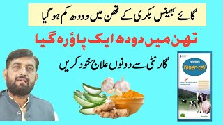 Milk Decrease In One Teat Cow Buffalo کے تھن میں دودھ کم ہو گیا Best 100 Treatment
