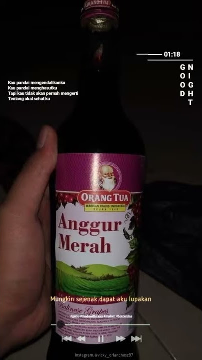 Story'WhatsApp Keren Terbaru||Status Wa Lagu Last Child_Diary Depresi Ku