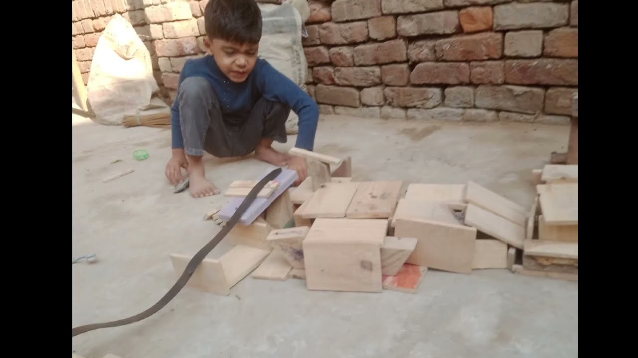 snake in the house ab Kiya kry 