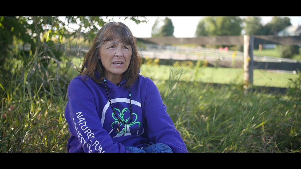 Horse Wisdom Yoga - Journey to the Self