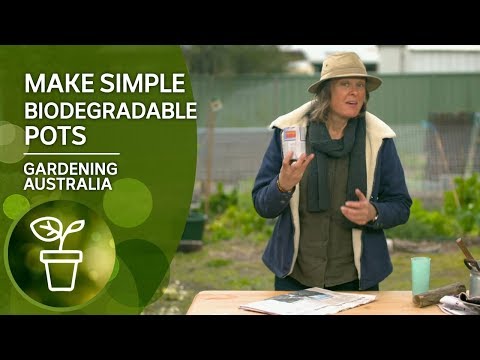 How to make simple biodegradable pots with newspaper