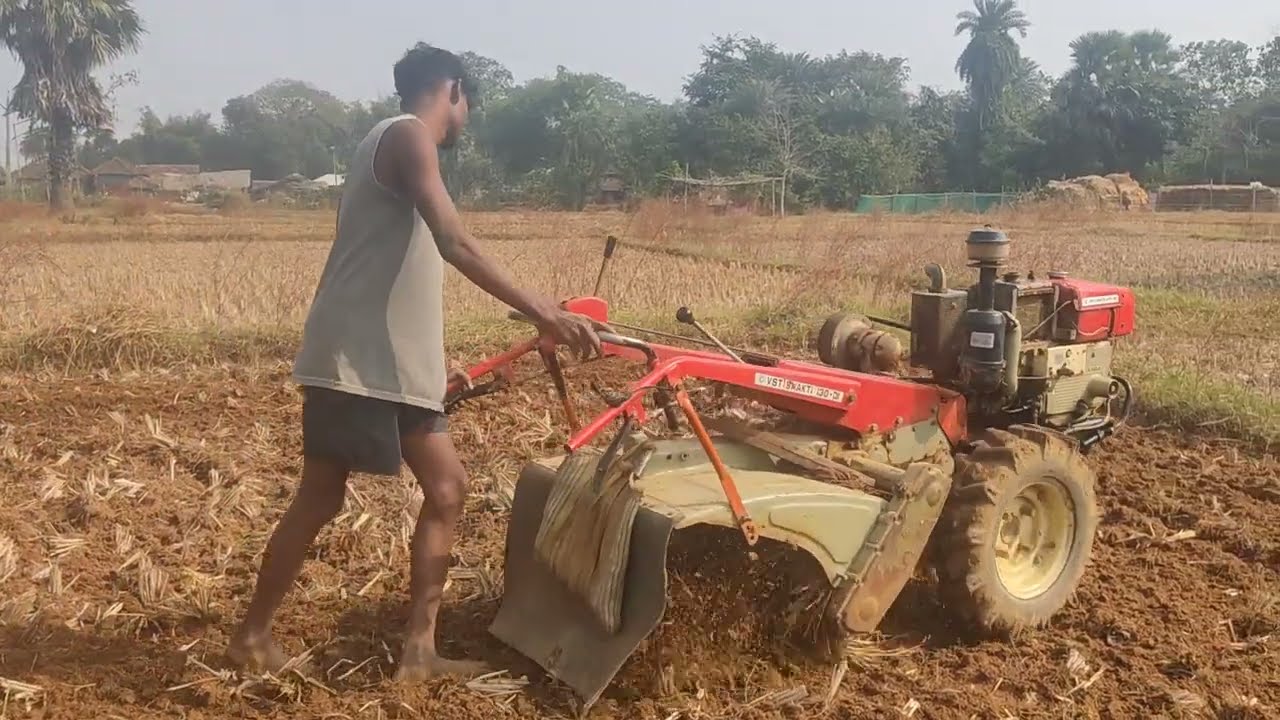 Henṭrackṭar te tuṛi Khet si huyna/kubraj murmu vlog/#farming 