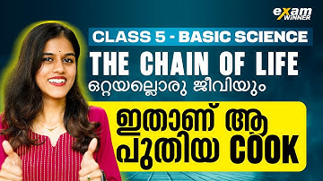 Class 5 Basic Science | The Chain Of Life |  ഒറ്റയല്ലൊരു  ജീവിയും | Exam Winner