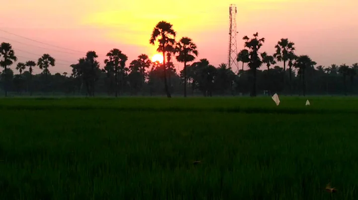 Kodavali#2
