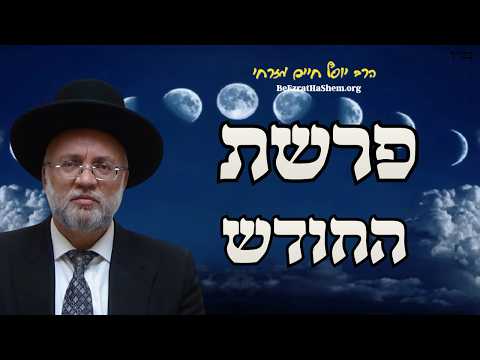 ืคืจืฉืช ืืืืืฉ - ืืจื ืืืกืฃ ืืืื ืืืจืื