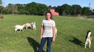 2021 Work Ethic Scholarship Applicant - Savannah Jensen