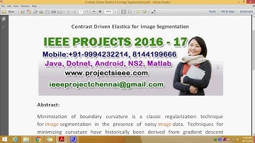 Contrast Driven Elastica for Image Segmentation