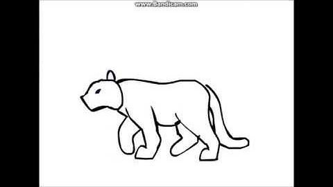 random flash animation