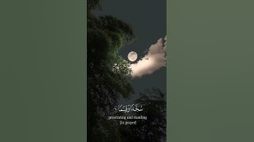 تلاوة رائعة للقارئ خالد الجليل..وعباد الرحمن #اكسبلور #المصحف #راحة_نفسية #لايك